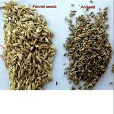 Pemerintah akan menggunakan vaksin corona dari pt bio farma (persero), astrazeneca, sinopharm, moderna, pfizer/biontech, dan sinovac. Fennel Seeds Adas Jinten Manis Jamu Herbal Shopee Indonesia