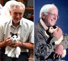 Barbara sukowa, daniel olbrychski, otto sander and others. Cats Socialism The Truth At Last Kmflett S Blog