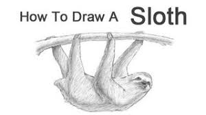 Draw the outline of the sloth's flat face. How To Draw A Sloth