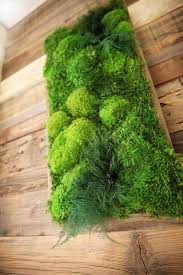 40 X 18 Artisan Moss High Profile Plant Painting No Maintenance Green Wall Art Real Preserved Moss Ferns In Reclaimed Wood Frame Pflanzenmalerei Pflanzen Und Garten