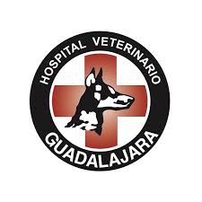 Clínica Veterinaria Guadalajara