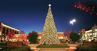 Save on big tall christmas trees 7' and up. Christmas Tree Lighting At The Greene