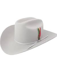 Stetson 6x Silverbelly Rancher Fur Felt Cowboy Hat In 2021 Felt Cowboy Hats Cowboy Hats Cowboy