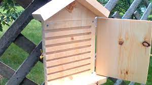 We did not find results for: Orchard Mason Bee House Review From The Bees Waggle Week 0 Day1 Youtube