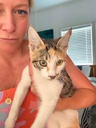 UPDATE kitty has been adopted ❤️ Patricia Mentzer