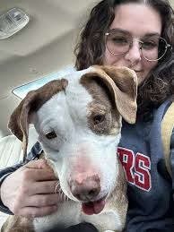 Laurie Bunch's Instagram, Twitter & Facebook