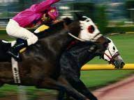 Among these were the spu. 226 Uk Trivia Questions Answers Horse Racing