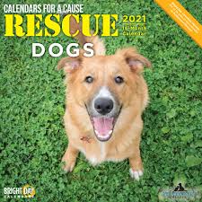 12 months of couture puppy pleasure, shipped in time for christmas. 2021 Rescue Dogs Wall Calendar Bright Day Calendars