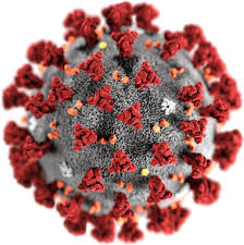 Resultado de imagem para covide 19 virus