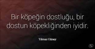 Yilmaz Guney Sozleri Bir Kopegin Dostlugu Bir Dostun Kopekliginden Iyidir