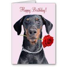 Compleanno Buon Compleanno Compleanno