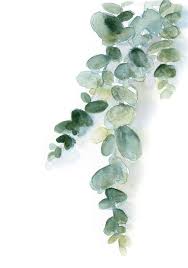 Gruner Eukalyptus Kunstdruck Grune Blatter Aquarell Druck Minimalistische Eco Grun Wand Kunstdruck Eukalyptus Aquarell Blatter Blumen Aquarell Blumenrahmen