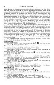 Image result for Flabellariopsis acuminata