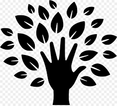 Some of them are transparent (.png). Black And White Flower Png Download 980 886 Free Transparent Khan Academy Png Download Cleanpng Kisspng