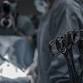 Podiatric surgery with Dean Samaras event image