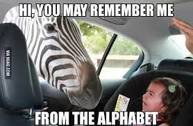 Downside Of The Drive Thru Zoo Funny Funny Animal Memes Animal Captions Funny Kids