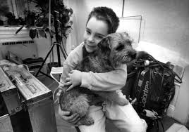 The Local's Swedish film of the month: My Life as a Dog