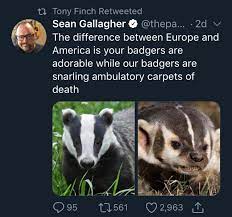 تويتر Darren Naish على تويتر Miketaylor Zslwhipsnadezoo Don T Know If You Re Familiar With American Badgers Which Aren T Technically Badgers At All But Have You Seen The Badger Vs Badger Meme Https T Co B0gdfytl2t