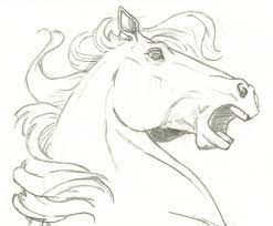 Pin On Horse Drawings
