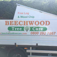 During tree trimming, a professional service will typically prune large branches, cut off dead or infected parts of the tree, control roots that are affecting your home's foundation, and even sometimes fell the entire tree if necessary. Beechwood Tree Care Hemel Hempstead Tree Surgeons Yell