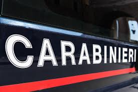 Conosciuta almeno sin dagli anni '50 come una famiglia molto importante nel settore dell'ortofrutta, l'organizzazione criminale nacque verso la metà degli anni 1960, all'inizio del decennio successivo il clan è controllato dai fratelli nuvoletta, lorenzo, ciro ed angelo. Maria Licciardi Arrestata La Boss Dell Omonimo Clan Di Camorra