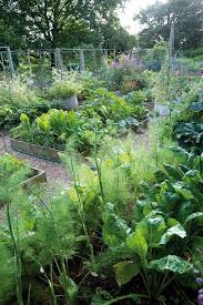 Gemusegarten Gestaltung In 2020 Garten Garten Pflanzen Selbstversorger Garten