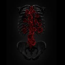 Billelis Illustration Art Direction 3d Design Carpe Noctem I Skull Art Skull Wallpaper Skulls And Roses Carpe noctem from the musical 'tanz der vampire'berlin 2013 🦇full cast from 28.03.2013:herbert: billelis illustration art direction