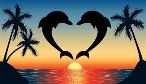 1 351 Best Dolphin Jumping Sunset Images Stock Photos Vectors Adobe Stock