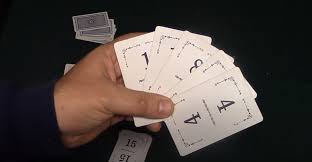 Definition of flinch in the idioms dictionary. Flinch The Classic Card Game That Was Created In Kalamazoo