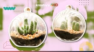 Terrarium sangat cocok di letakkan di dalam ruangan. Tutorial Cara Membuat Terarium Mudah Dan Praktis