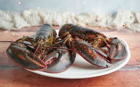 We did not find results for: Come Cucinare L Astice Tutto Cio Che Devi Sapere Prima Di Metterti Ai Fornelli Ristorante Zodiaco Rimini