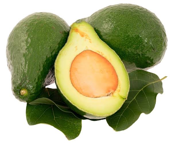 Résultat de recherche d'images pour "AVOCADO""