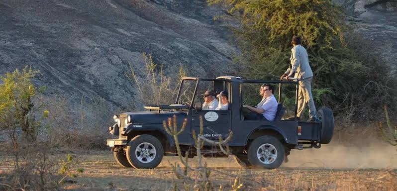 Leopard Safari in Jawai