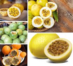 O maracujá apresenta benefícios que ajudam no tratamento de diversas doenças, como ansiedade, depressão ou hiperatividade, e no tratamento de problemas de sono, nervosismo, agitação. Madeira Fruchte Maracuja Passionsfrucht Ocean Retreat