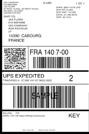 Free collection shipping label template word unique label templates for word usps shipping label template usps shipping free download of ups shipping label template free templates with 1269 x. Ups Shipping Label Dimensions Juleteagyd