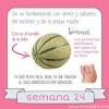 Curiosidades en la semana 22 de embarazo. Https Encrypted Tbn0 Gstatic Com Images Q Tbn And9gcrmtoj72yiamm1ad6lp1n Fk5mg5suopzot44yo 1zbv2gge4ny Usqp Cau