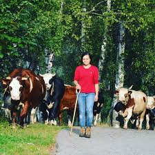 La storia di Elisa: “Dopo laurea e lavoro dufficio, cambiato vita: ora,  allevo animali e produco formaggi in montagna” - Newsbiella.it