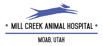 Contact our pet rehoming coordinator, or request zuchon shichon teddy bear dog rehoming services today. Humane Society Of Moab Valley Home