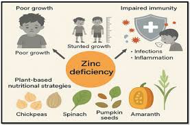 Image result for Zinc Deficiency