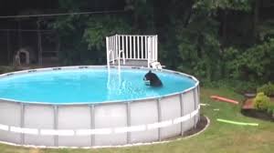 Image result for backyard pool