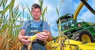 Trump's involvement is an untold story, but parts of it are becoming clearer. Dauerhitze Saar Bauern Mussen Mais Vorzeitig Ernten