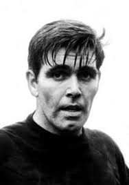 Visit Celticshorts.com