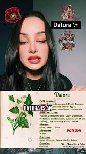 Poison Plant Joseon Era