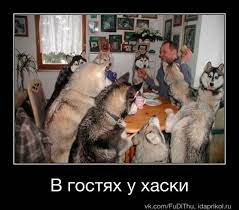 Виртуальный клуб «ART» / Блог / Собако АРТ часть 1.