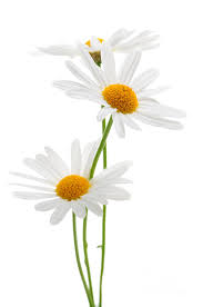 Related image