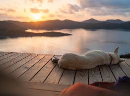 Steve Yocom (@steve_yocom) • Instagram photos and videos