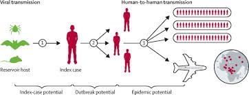 Wells who chief finally admits it was premature to discount lab leak theory Local National And Regional Viral Haemorrhagic Fever Pandemic Potential In Africa A Multistage Analysis Sciencedirect