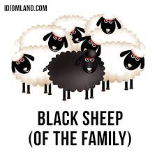 I Might Be The Black Sheep Of The Family Hi There Our Idiom Of The Day Is Black Sheep Of The Family Which Means Someone Who Is Thought To Be A B Black Sheep Idioms Black Sheep Of The Family