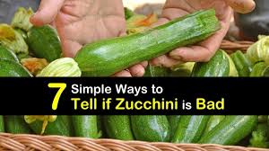 Zucchini, like all squash, were developed from squashes that originally came from the americas. 7 Simple Ways To Tell If Zucchini Is Bad