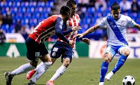 In the invierno 2001 season, tigres finished the tournament as leader with 36 points. Ogzxtzvjukvhkm